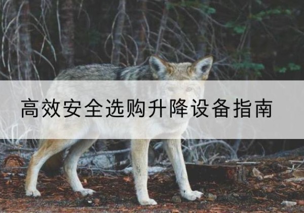 清原升降货梯厂家推荐-*安全选购升降设备指南