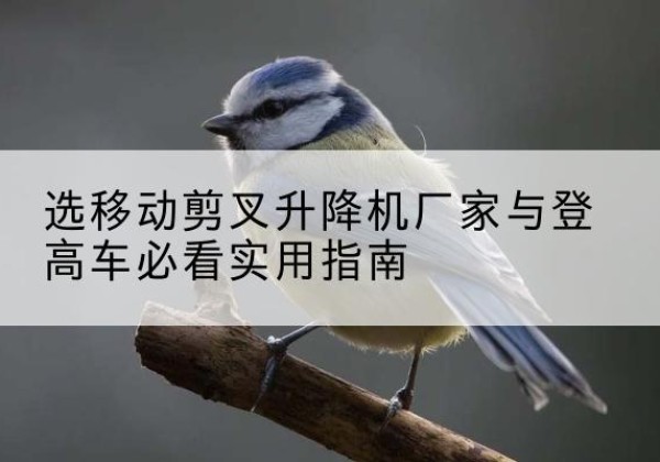 清原电动升降机厂家-选移动剪叉升降机厂家与登高车必看实用指南