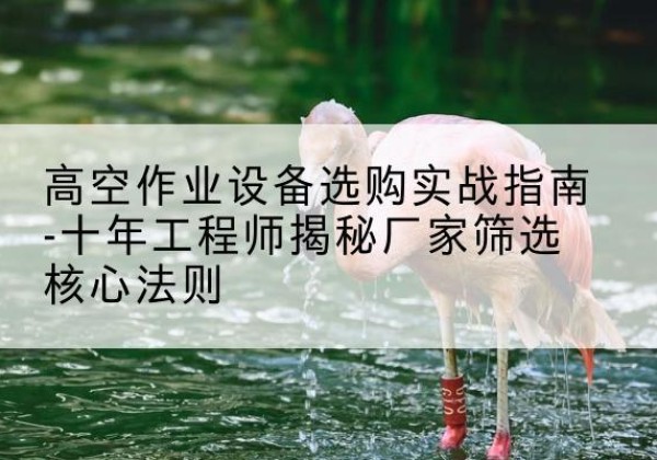 清原剪叉式升降机厂家-高空作业设备选购实战指南-十年工程师揭秘厂家筛选核心法则